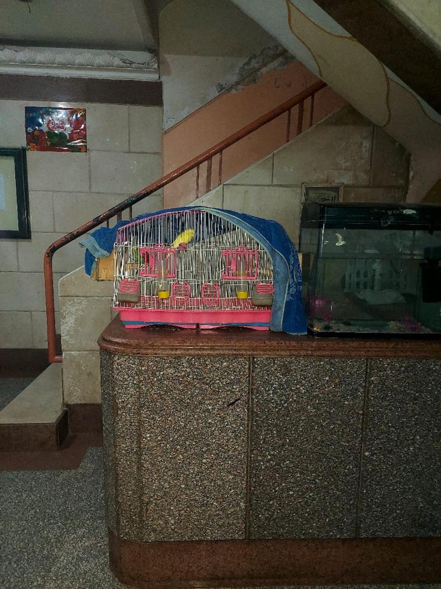 Cozy Location In Downtown Close To The Egyptian Museum *