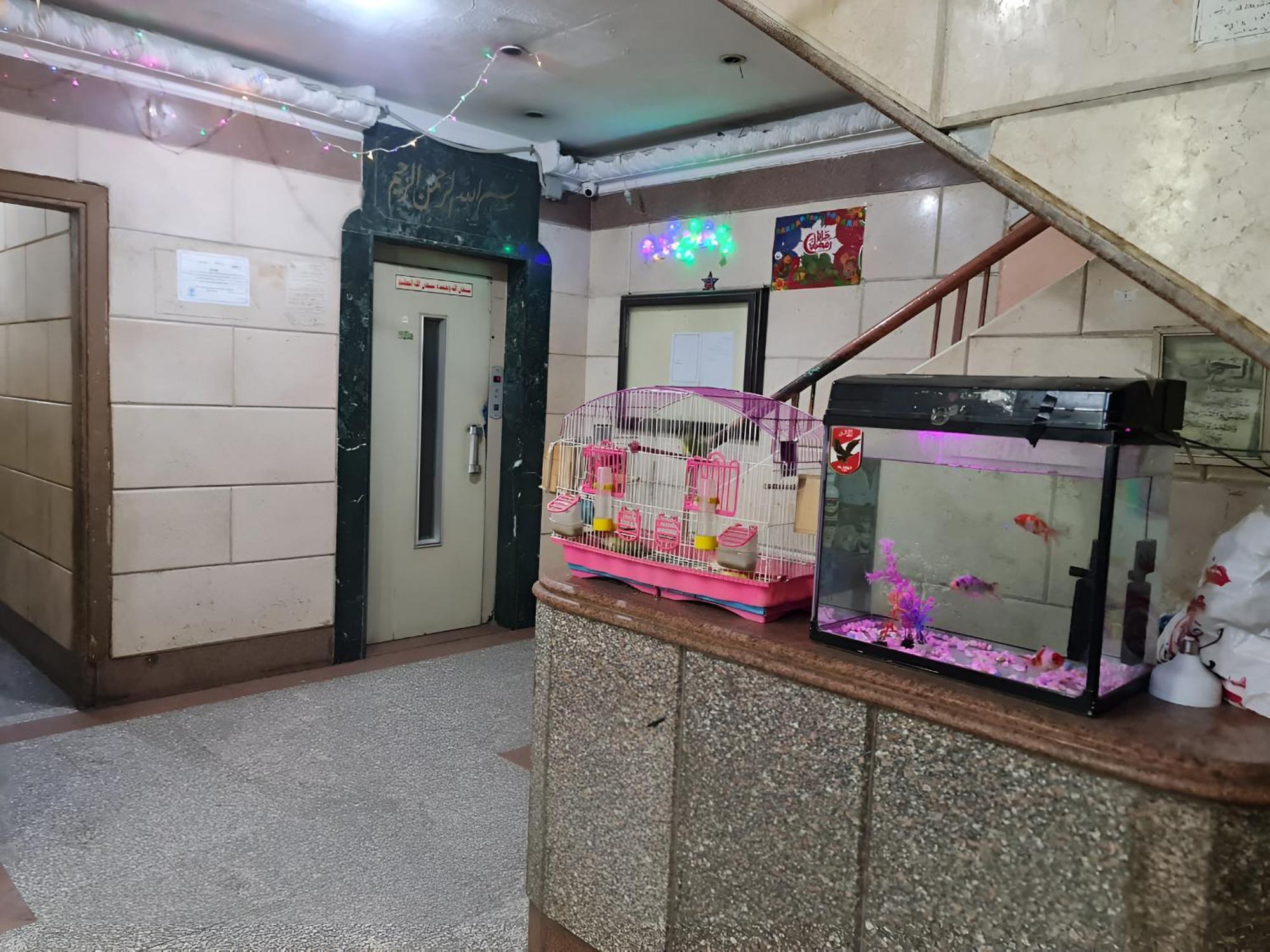 Apartament Cozy Location In Downtown Close To The Egyptian Museum *